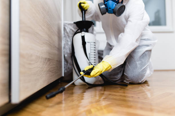 Best Wasp Removal Services  in Allegan, MI