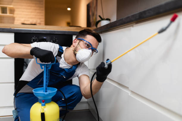 Best Best Pest Control Companies  in Allegan, MI