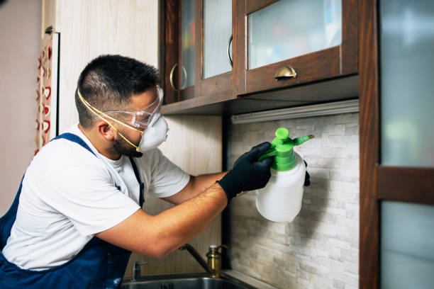 Best Best Pest Control Companies  in Allegan, MI