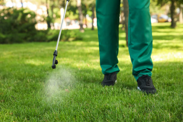 Best Pest Removal Services  in Allegan, MI