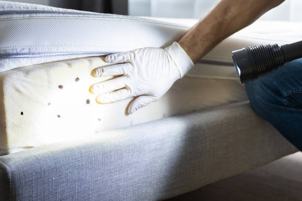 Best Pest Control Near Me  in Allegan, MI