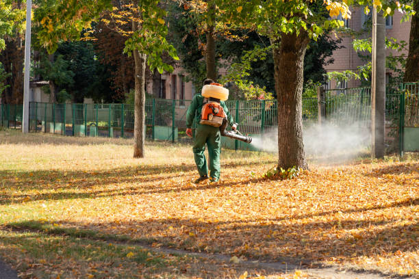 Best Insect Control  in Allegan, MI