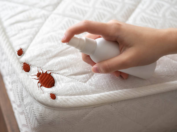 Allegan, MI Pest Control Pros
