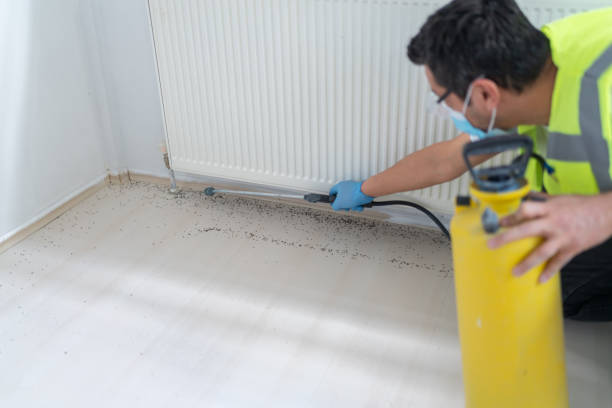 Best Local Pest Control Services  in Allegan, MI