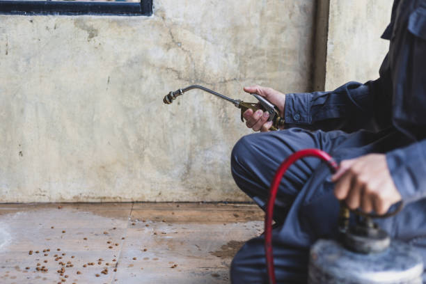 Best Affordable Pest Control Services  in Allegan, MI