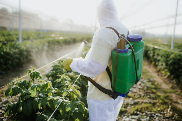 Best Residential Pest Control  in Allegan, MI